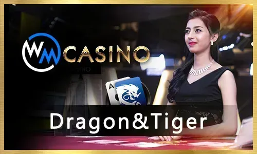 plus777 Live Casino